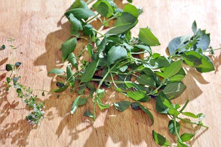 Aerogarden Herbs Photo by bour3 | Photobucket